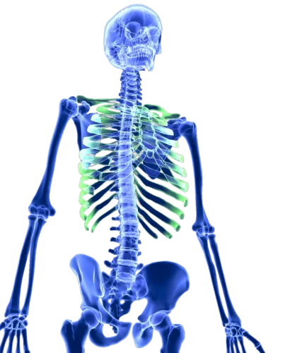 new-technology-banner